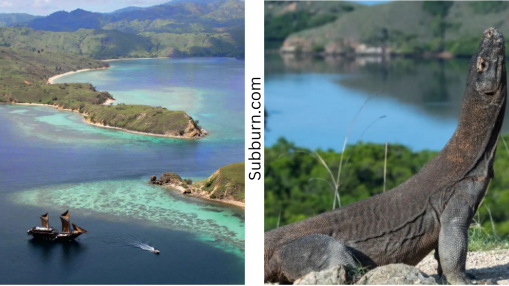 Komodo Island, East Nusa Tenggara - Top 10 Best Diving in Indonesia