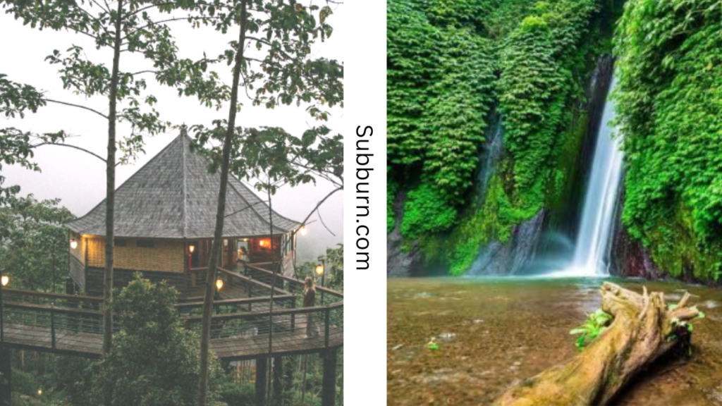 Munduk Village -  Bali Tourism Recommendations that Must Be Visited