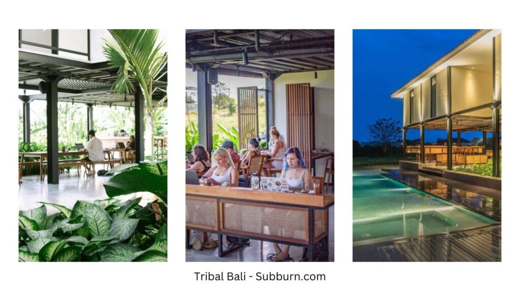 Tribal Bali - Subburn.com