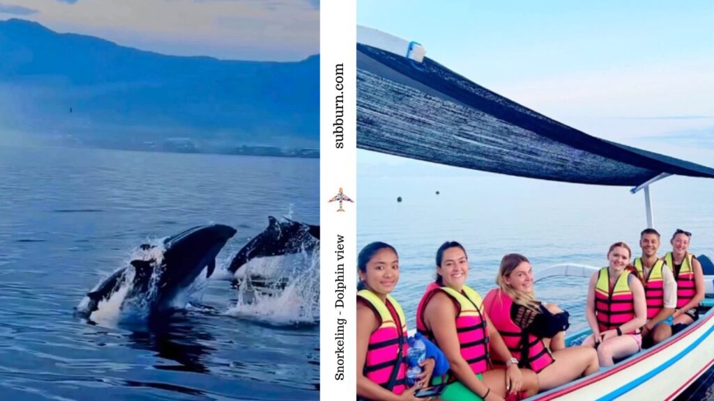 Snorkling Dolphin - Top 7 Things To Do in Buleleng [Lovina Beach] - Subburn.com