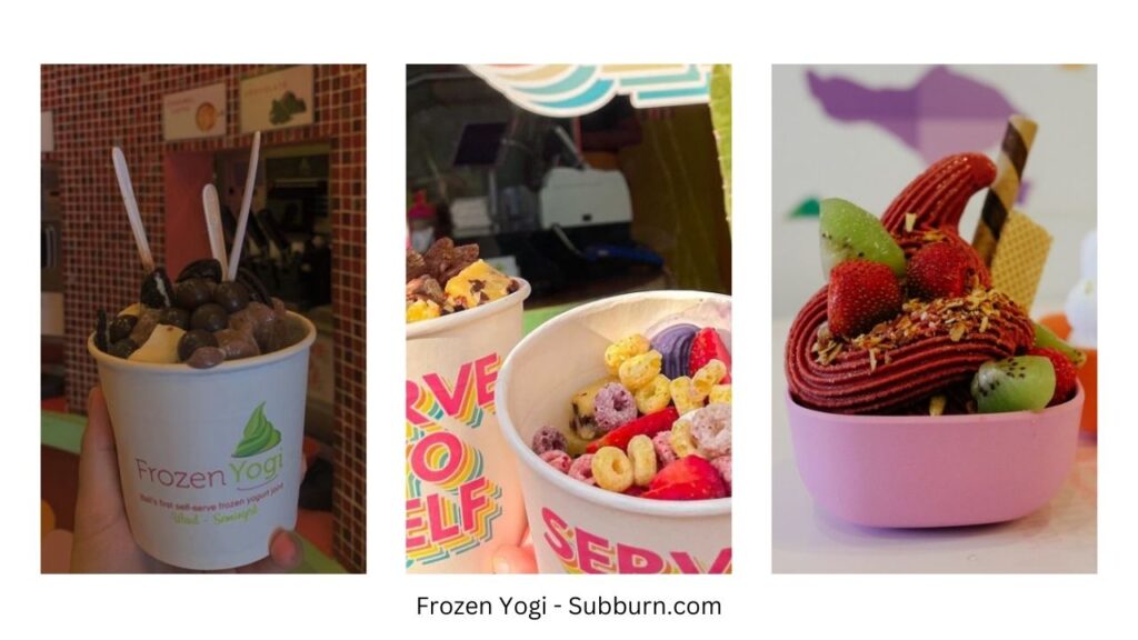 Frozen Yogi -Best Ice Cream Shops in Bali - Subburn.com