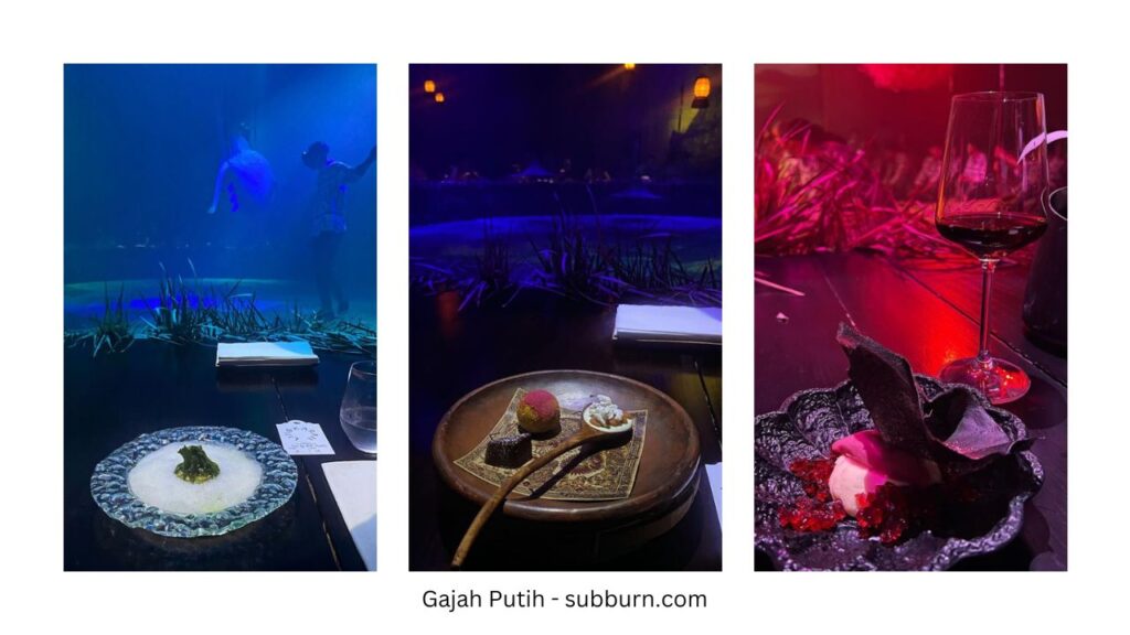 Top 5 Unique Restaurants in Bali [2024 Updates] - Gajah Putih Fine Dining updated