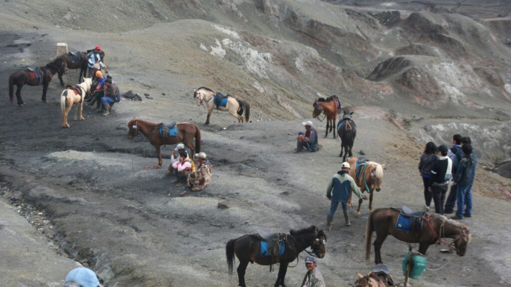 Easy way trip to Mount Bromo in 2024