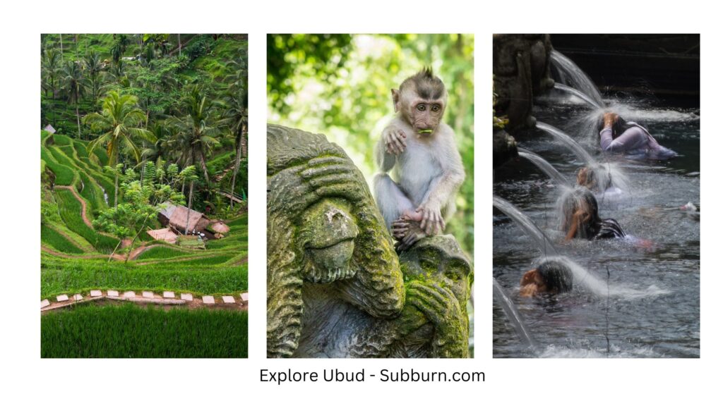 Explore ubud - subburn.com