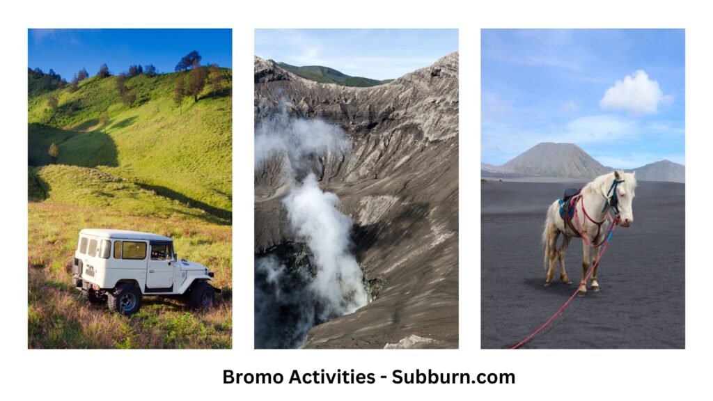 Trip Mount Bromo