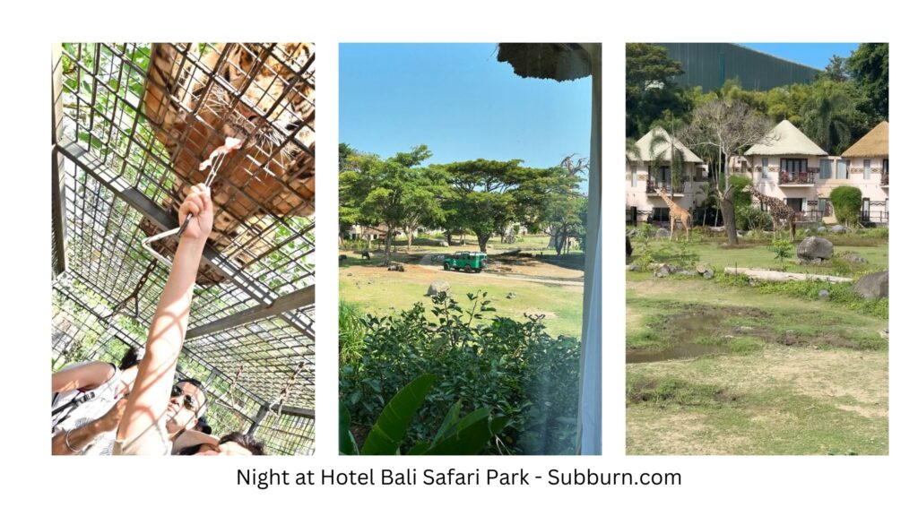 Night hotel bali safari park - subburn.com