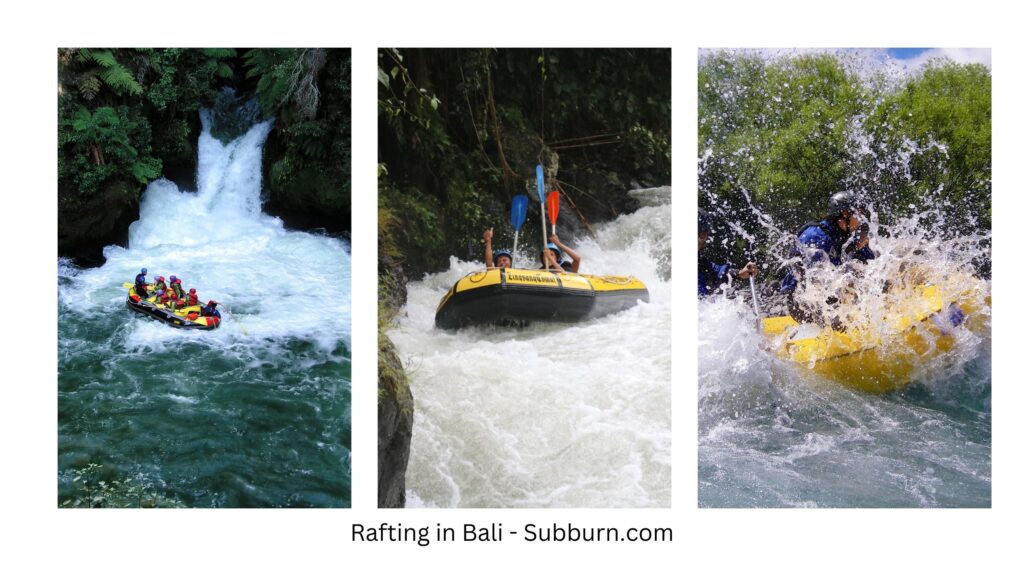 Rafting in bali - ticket price - subburn.com