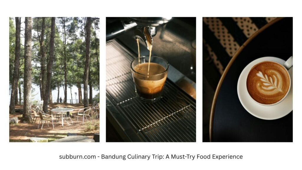 Teduh coffee - Bandung Culinary Trip A Must-Try Food Experience